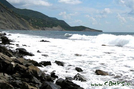 � ������� ����� � ������ ����� ������������� ������������ ������ ����������� ��������