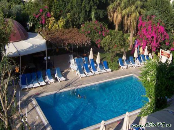 ������ ������. SPORTS �� ����� (������ ��������� ������)