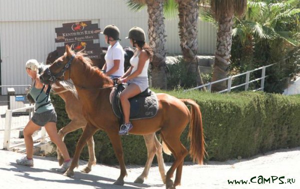 ������ ������. SPORTS �� ����� (������ ��������� ������)